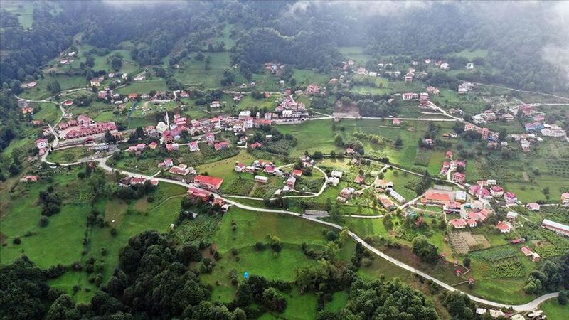 Trabzon Hamsiköy (Hapsiköy): Tarihi, Yerel Söylenceler ve Nüfus Verileri